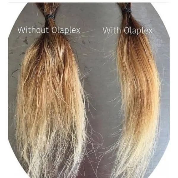Olaplex Hair Color Salon